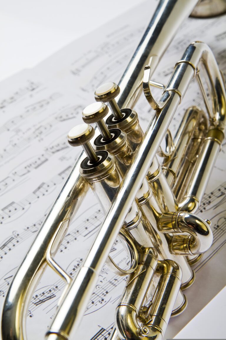 Concert annuel de la fanfare Musique1 768x1152